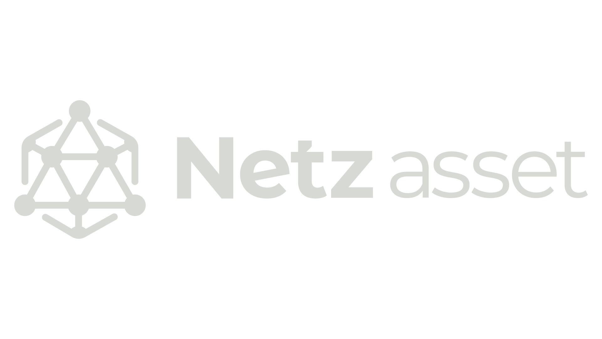 Logo da Netz Asset